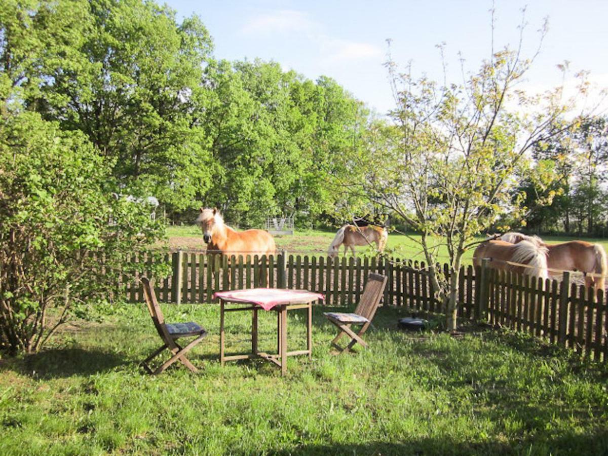 Haflingerhof Heed Apartment Kuhstorf Екстериор снимка